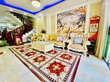 Hình ảnh Tô Ngọc Vân 100m2 HẺM 8M, nội thất CAO CẤP