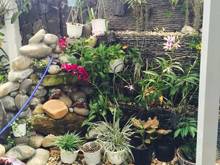 Hình ảnh CẦN BÁN Biệt thự Sân vườn An Phú, Quận 2 - DT:187m2 giá 31.5 tỷ