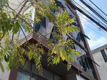 Hình ảnh Toà Căn Hộ Cao Cấp 88m2 Phố Tô Ngọc Vân-Thang Máy-KD Dòng Tiền-21.5 tỷ