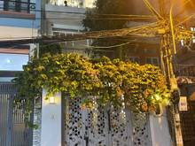 Hình ảnh Bán nhà MT HXH Nguyễn Khuyến, Bình Thạnh 5.5 x 18m 3 tầng 13 tỷ