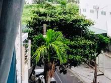 Hình ảnh Mặt tiền phòng trọ cho thuê khu vực Lotte Mart, trường Skyline