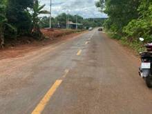 Hình ảnh Hàng ngon phân lô MT ĐT 753  Tân Hưng Đổng Phú, DT: 210×131m.