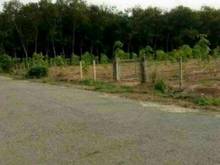 Hình ảnh 33.353m đất mt nhựa 16m ô tô vi vu, Long Nguyên Bàu Bàng, phân lô, KCN