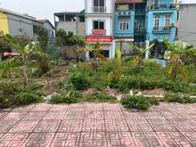 Hình ảnh Chuyển công tác bán lô đất 111,5m2 khu đấu giá 31ha Trâu Quỳ, Gia Lâm