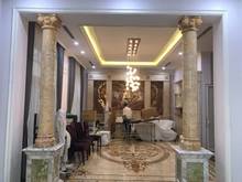Hình ảnh Bán Biệt thự 192m khu đấu giá Tầm Dâu, Việt Hưng, ngay sau Big C LB