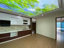 Hình ảnh BIỆT THỰ Sân Bay Tân Sơn Nhất Tân Bình- Gía Chào 33.3