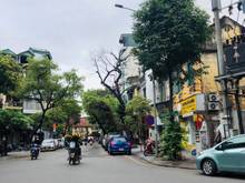 Hình ảnh Cho thuê căn biệt thự ngay ngã tư Lò Đúc - Nguyễn Công Trứ