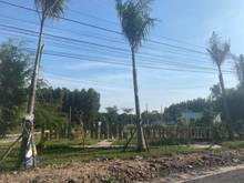 Hình ảnh Bán đất Long Thành gần KCN Lộc An-Bình Sơn,KDC D2D Lộc An giá rẻ