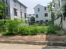Hình ảnh Bán gấp 60m đất tái định cư Trâu Quỳ hướng Đông Nam mát mẻ