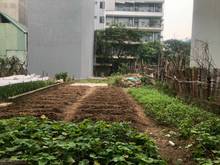 Hình ảnh Bán hộ anh Lâm mảnh đất mặt đường 175.8m2  phố Chính Trung, Trâu Quỳ