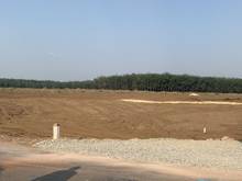 Hình ảnh Cần ra đi lô đất 1000m2 mặt tiền đường nhựa 35m