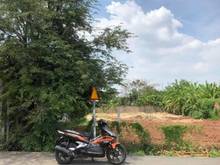 Hình ảnh Đất thổ vườn đường nguyễn thị chiên 250m2 giá 2ty450 đường nhựa 8m