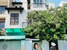 Hình ảnh Cho THUÊ nhà NC MT Đặng Dung, ĐAkao, Q.1 (7*24m) Hầm 4 T làm văn phòng