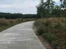 Hình ảnh Sỉ 38 lô giá F0 Tân Phú Đổng Phú, dt 5×48, tc 100m, đường bê tông,shr
