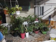 Hình ảnh Bán nhà hẻm xe hơi, Phường 5, Quận 8, 90m2, chỉ 6 tỷ 5.