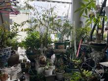 Hình ảnh HXH, Nhà đẹp vị trí tốt, Hoàng Văn Thụ, P8, Phú Nhuận, chỉ hơn 6 tỷ