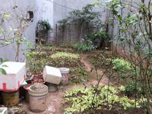 Hình ảnh Anh trai gửi bán lại lô đất đẹp nằm trong khu đông dân cư tại tổ 10