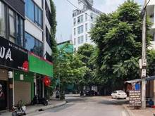 Hình ảnh Mặt phố Linh Lang ngã 4 Phan kế Bính. 80m2 MT khủng 6m. GPXD 8 tầng