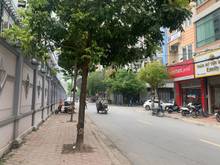 Hình ảnh Cần bán gấp đất phân lô mặt phố Thiên Hiền, Vị trí đắc địa, khuôn đất