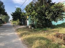 Hình ảnh Chủ cần tiền làm ăn nên cần bán gấp lô vườn đất Nguyễn Thị Rành.