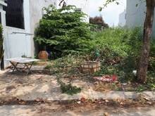 Hình ảnh Cần bán,90m2 giá 1,25 tỷ SHR,Võ Trần Chí,tân kiên Bình Chánh tp.HCM
