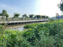 Hình ảnh Bán Đất View Bờ Sông, Nền Biệt Thự 220m2 (10x22) Đường Nhựa 10m, Dân Đ
