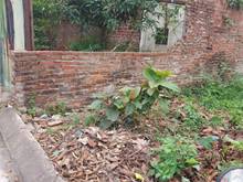 Hình ảnh Bán đất Nguyễn Lam- Long Biên, Vị trí đắc địa, 65m2, 6.5 tỷ.