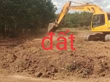 Hình ảnh Đất sào Lộc Ninh, Bình Phước sổ sẵn 1000m2/437tr
