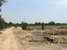 Hình ảnh Bán gấp 2000m2 đất trích lục nội nghiệp ngay kênh Trung Ương