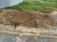 Hình ảnh Bán gấp đất gần QL 1A chỉ 1,1 tỷ, SHR công chứng ngay.