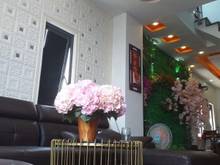 Hình ảnh Bán nhà CỰC ĐẸP- LÔ GÓC 2 MT HXH, Thống Nhất, P13, Gò Vấp 52m2- 4 TẦNG