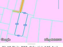 Hình ảnh Chủ cần bán nhà cấp 4 , đường Lý Thường Kiệt cách phà Cát Lái 4km ,SHR