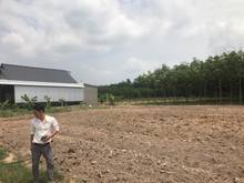 Hình ảnh Chính chủ Minh Thạnh cần bán gấp lô đất 1.150.000.000 đ