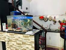Hình ảnh Cần ra đi căn nhà Bình Hưng Hòa A, Q.Bình Tân, SHR, Hẻm xe hơi 1.69 tỷ