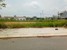 Hình ảnh Bán 240m2thổ cư 1/tỉnh lộ 10 đường thông 8m, SHR bán rẻ 3 tỷ