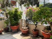 Hình ảnh Bán Nhà Đồng Xoài 50m2, 4tầng, Phường 13 Tân Bình, GIÁ 12 TỶ !!!