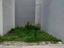Hình ảnh Chủ nhà cần tiền bán gấp 40m2 đất giá rẻ nhất Phúc Lợi , Long Biên .