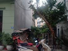 Hình ảnh Bán Đất Hà Đông đường Thanh Lãm 2.35 tỷ, 58m2, MT 4m, Ngõ Thông Rộng