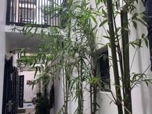 Hình ảnh Nhà Trương Định, Quận 3, 5 Tầng Vừa Hoàn Công, Nhà Đẹp Còn Rất Mới