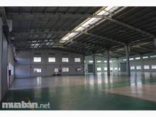 Hình ảnh Cho Thuê GẤP kHO 200m2,đường cont,trần cao,Nguyễn Sơn ,Giá chỉ 22 TR