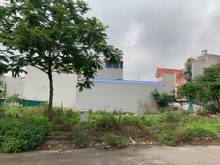 Hình ảnh Bán gấp đất mặt đường Lý Thánh Tông VinOceanpark đường rộng 40m