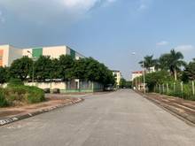 Hình ảnh Đất tái định cư Giang Biên, 80m2 mặt tiền 4,33m vị trí đẹp ngay trường