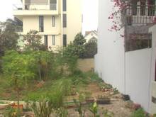 Hình ảnh Chị Chi Cần Tiền Bán Gấp Lô Đất Full Thổ Cư Sổ Hồng Riêng