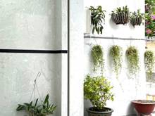 Hình ảnh Cho thuê phòng dịch vụ khu sân bay