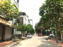 Hình ảnh PLô víp, KD, ôtô, vỉa hè, Ngô Thì Nhậm, Hà Đông, 79m2, MT5.8m ,15 tỷ
