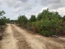 Hình ảnh Đất 2 mẫu Gần trang trại mebi farm giá 2 tỷ 9/ Ha
