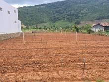 Hình ảnh Bán đất trung tâm hiệp an 6x50 - 100m2 thổ cư - đức trọng