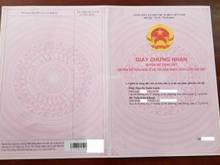 Hình ảnh Cần bán góc 3MT đường Ngô Tất Tố, P21, Quận Bình Thạnh cấp 4