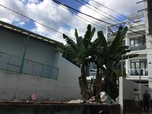 Hình ảnh Bán Đất đường Nguyễn Thái Sơn, P.5, Gò Vấp- cách MT 20m- 42m2, Giá Rẻ