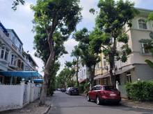 Hình ảnh Gia đình cho thuê biệt thự Phú Mỹ Hưng, Q7 Căn góc, giá 2000$